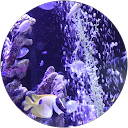 さちゃん さちゃん