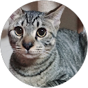 okachan208 okachan208